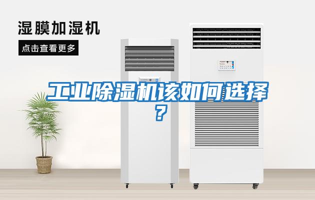 工業除濕機該如何選擇？