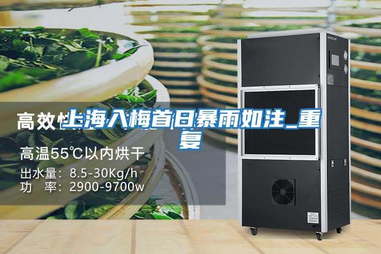 上海入梅首日暴雨如注_重復