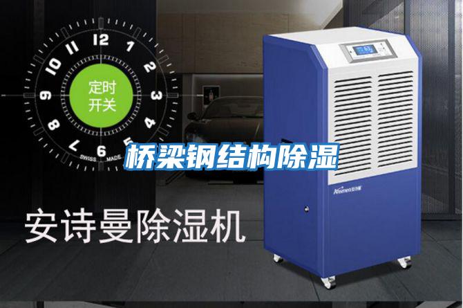 橋梁鋼結構除濕