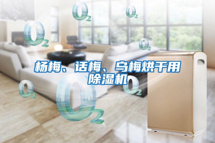 楊梅、話梅、烏梅烘干用除濕機