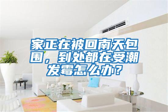 家正在被回南天包圍，到處都在受潮發霉怎么辦？