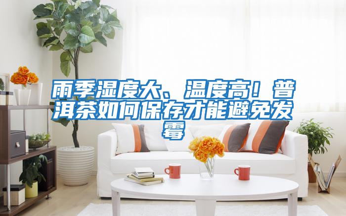 雨季濕度大、溫度高！普洱茶如何保存才能避免發(fā)霉