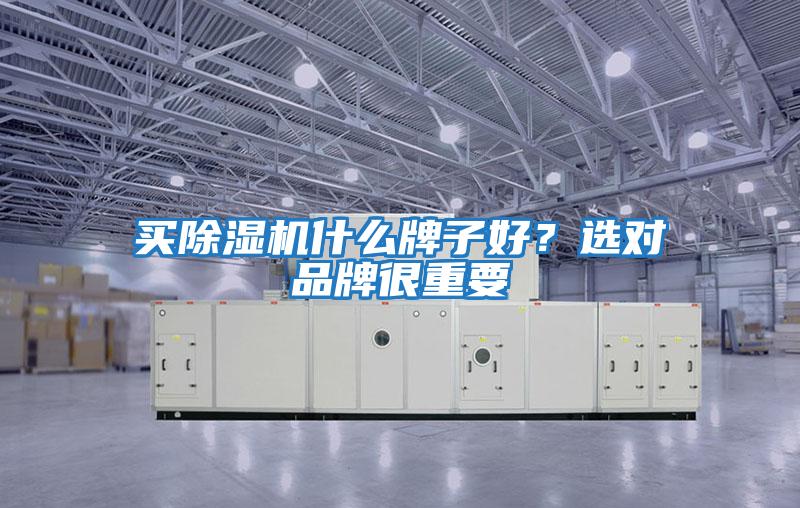 買除濕機什么牌子好？選對品牌很重要