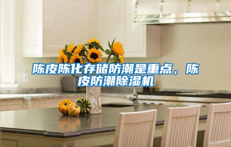 陳皮陳化存儲防潮是重點，陳皮防潮除濕機