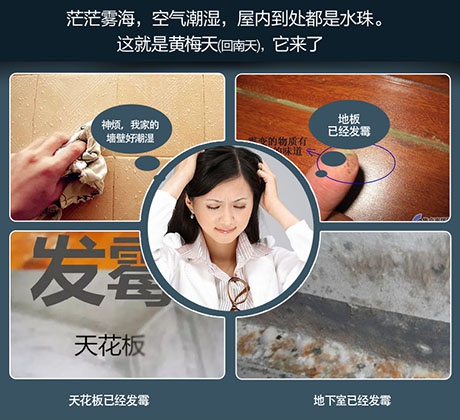 地下室中央新風除濕機，地下室通風與除濕解決方案