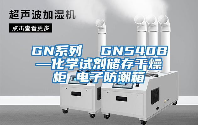 GN系列  GN540B—化學(xué)試劑儲存干燥柜 電子防潮箱