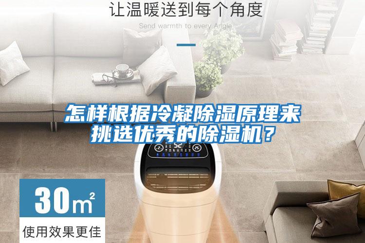 怎樣根據冷凝除濕原理來挑選優秀的除濕機？