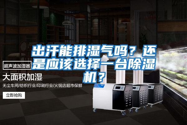 出汗能排濕氣嗎？還是應該選擇一臺除濕機？