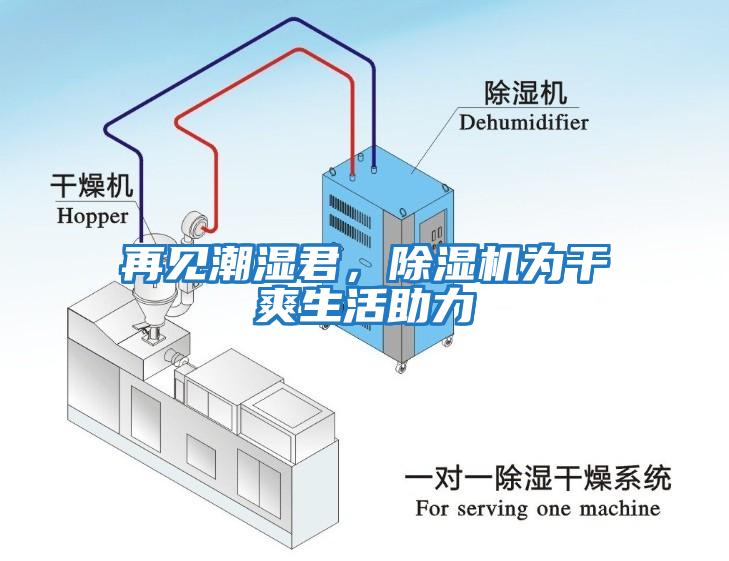 再見潮濕君，除濕機為干爽生活助力