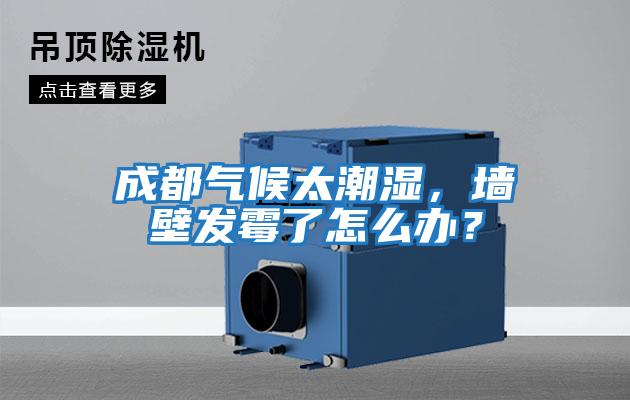 成都氣候太潮濕，墻壁發霉了怎么辦？