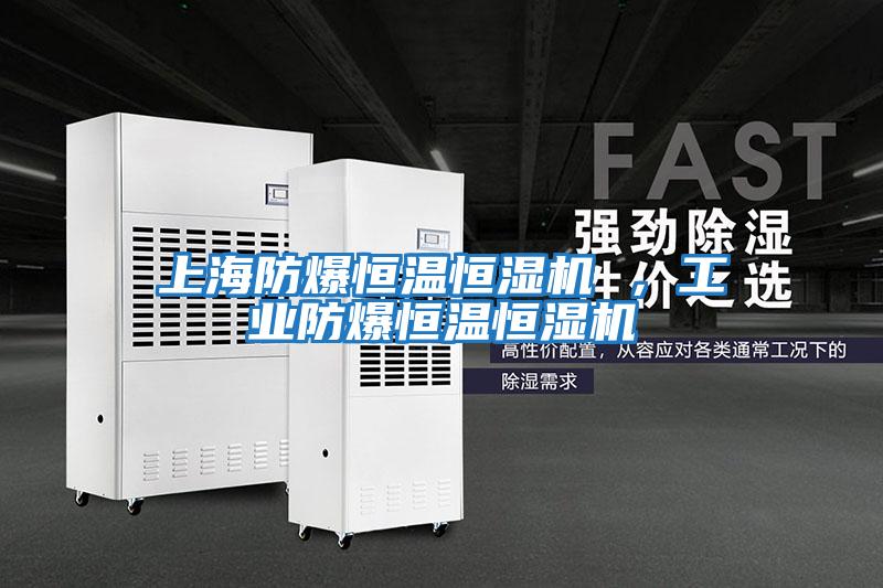 上海防爆恒溫恒濕機 ,工業防爆恒溫恒濕機