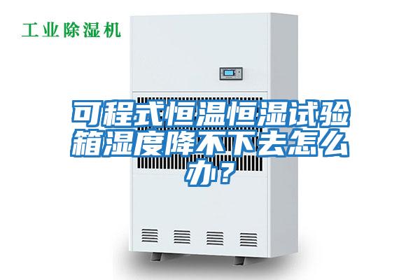 可程式恒溫恒濕試驗(yàn)箱濕度降不下去怎么辦？