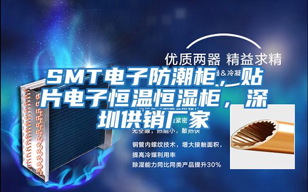 SMT電子防潮柜，貼片電子恒溫恒濕柜，深圳供銷(xiāo)廠家