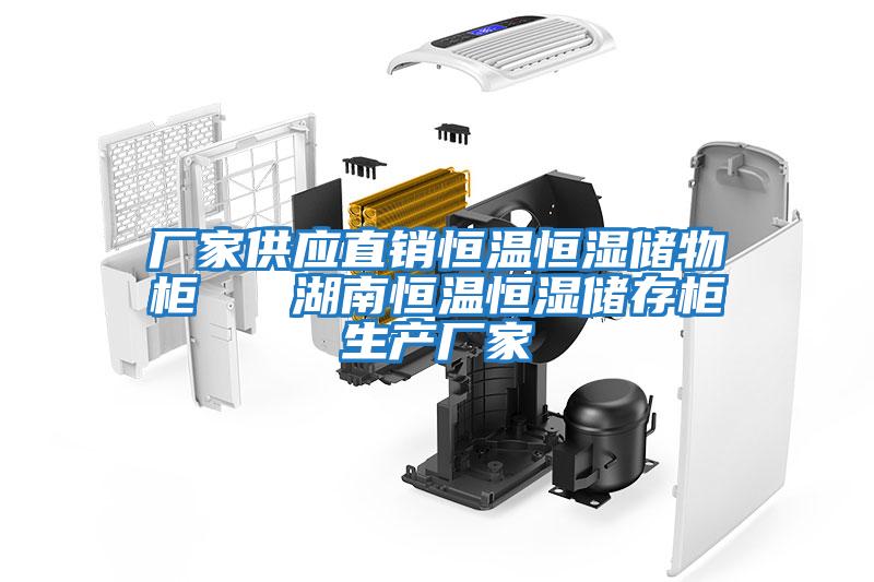 廠家供應直銷恒溫恒濕儲物柜   湖南恒溫恒濕儲存柜生產(chǎn)廠家