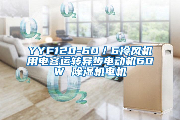 YYF120-60／6冷風機用電容運轉(zhuǎn)異步電動機60W 除濕機電機