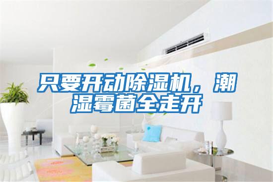 只要開動(dòng)除濕機(jī),潮濕霉菌全走開