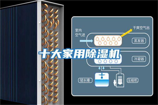 十大家用除濕機