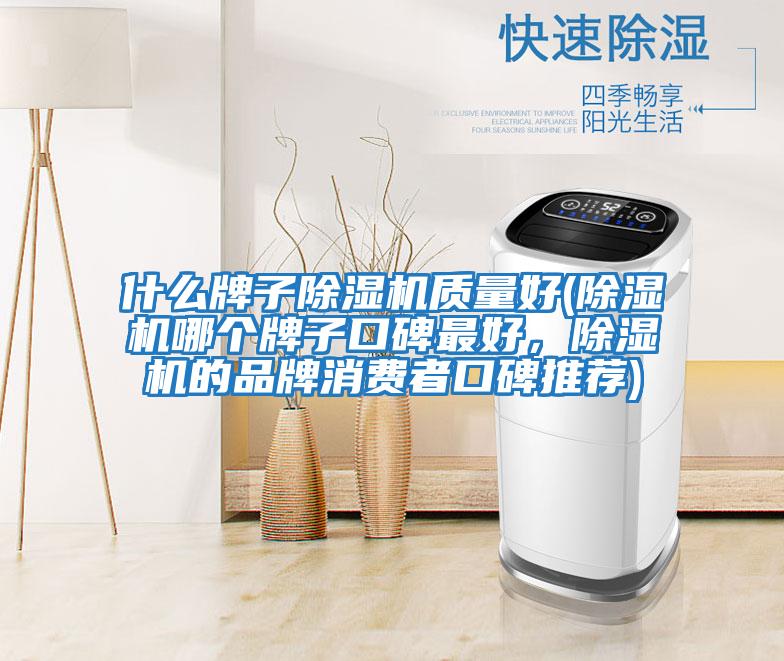什么牌子除濕機質量好(除濕機哪個牌子口碑最好，除濕機的品牌消費者口碑推薦)