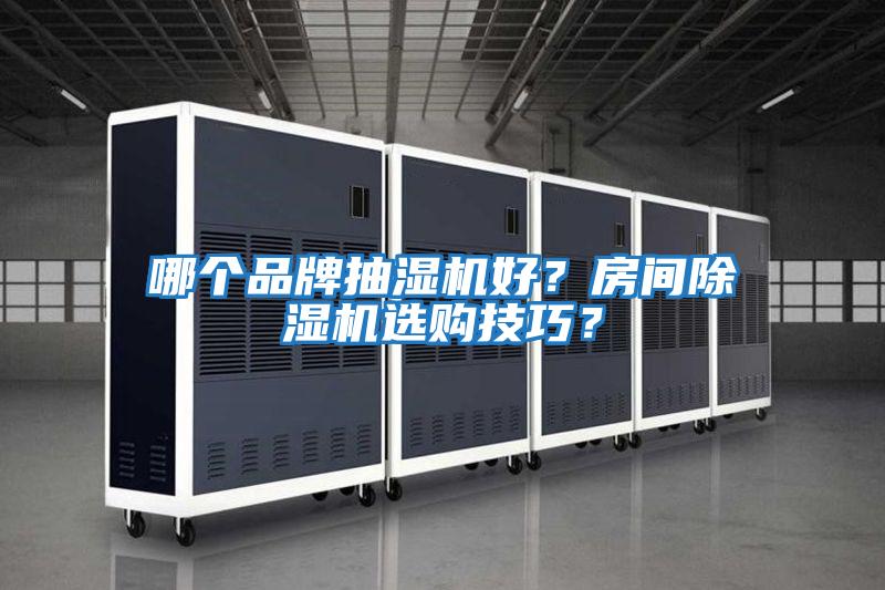 哪個(gè)品牌抽濕機(jī)好？房間除濕機(jī)選購技巧？