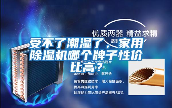 受不了潮濕了,家用除濕機哪個牌子性價比高?