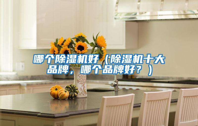 哪個除濕機好（除濕機十大品牌，哪個品牌好？）