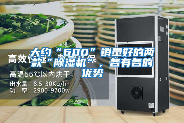 大約“600”銷量好的兩款“除濕機”，各有各的優勢