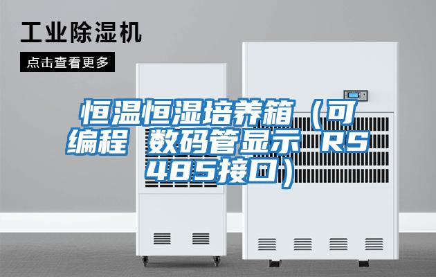 恒溫恒濕培養箱（可編程 數碼管顯示 RS485接口）