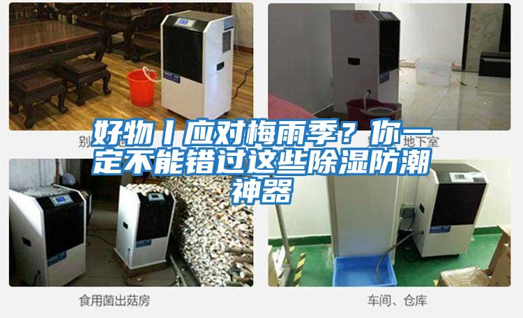 好物丨應對梅雨季？你一定不能錯過這些除濕防潮神器