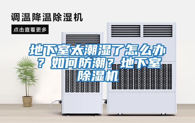 地下室太潮濕了怎么辦？如何防潮？地下室除濕機