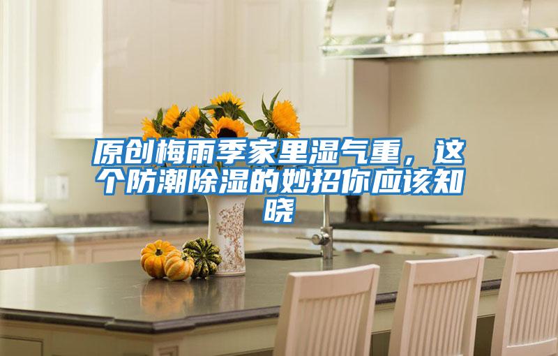 原創梅雨季家里濕氣重，這個防潮除濕的妙招你應該知曉