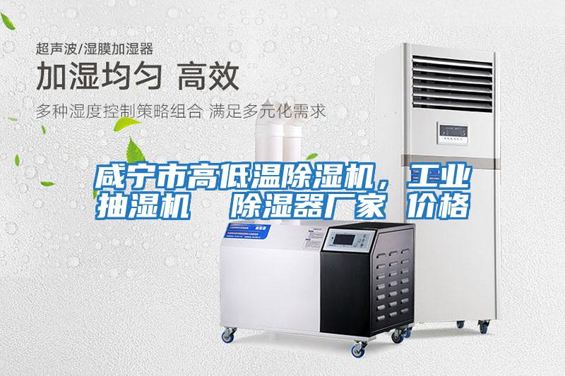 咸寧市高低溫除濕機(jī)，工業(yè)抽濕機(jī)  除濕器廠(chǎng)家 價(jià)格