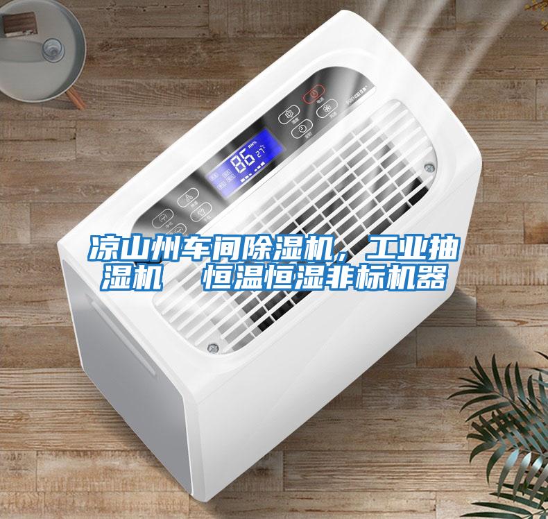涼山州車間除濕機，工業(yè)抽濕機  恒溫恒濕非標機器