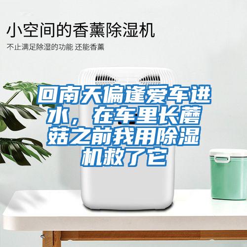 回南天偏逢愛車進水,在車里長蘑菇之前我用除濕機救了它