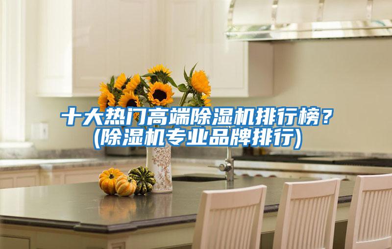 十大熱門高端除濕機排行榜？(除濕機專業品牌排行)
