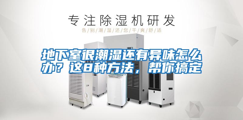 地下室很潮濕還有異味怎么辦？這8種方法，幫你搞定