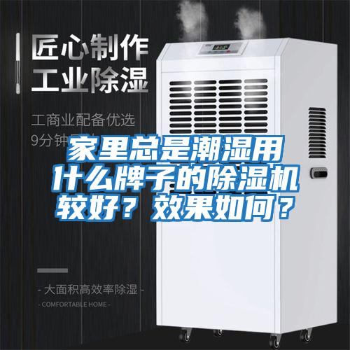 家里總是潮濕用什么牌子的除濕機較好？效果如何？