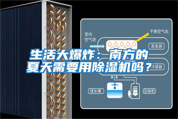 生活大爆炸：南方的夏天需要用除濕機嗎？