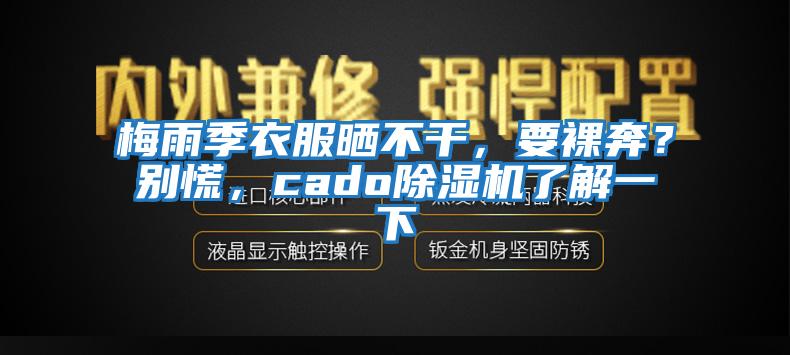 梅雨季衣服曬不干，要裸奔？別慌，cado除濕機(jī)了解一下