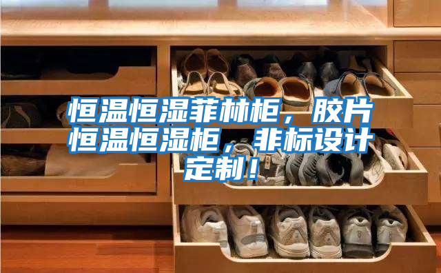 恒溫恒濕菲林柜，膠片恒溫恒濕柜，非標設計定制！