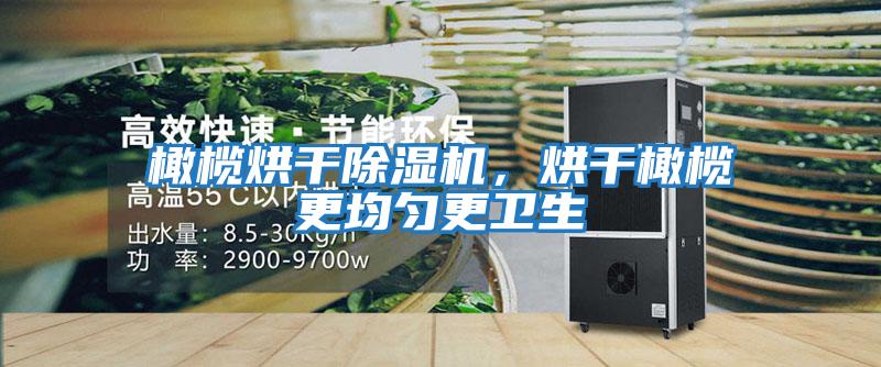 橄欖烘干除濕機，烘干橄欖更均勻更衛生