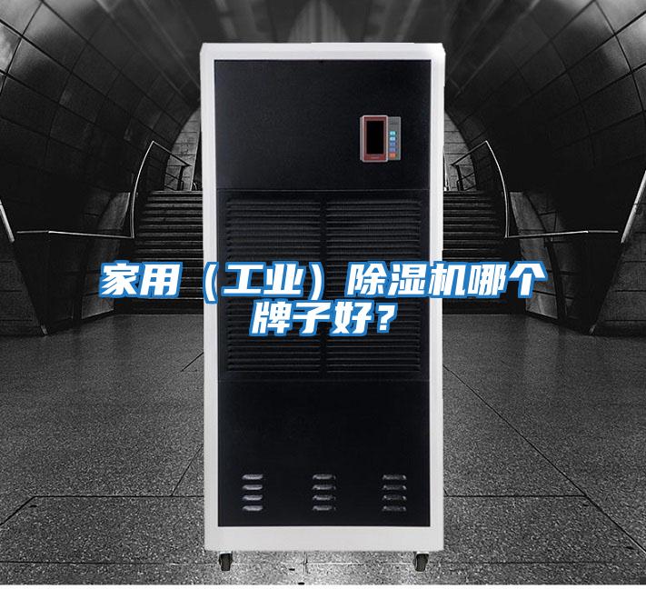 家用（工業(yè)）除濕機(jī)哪個牌子好？