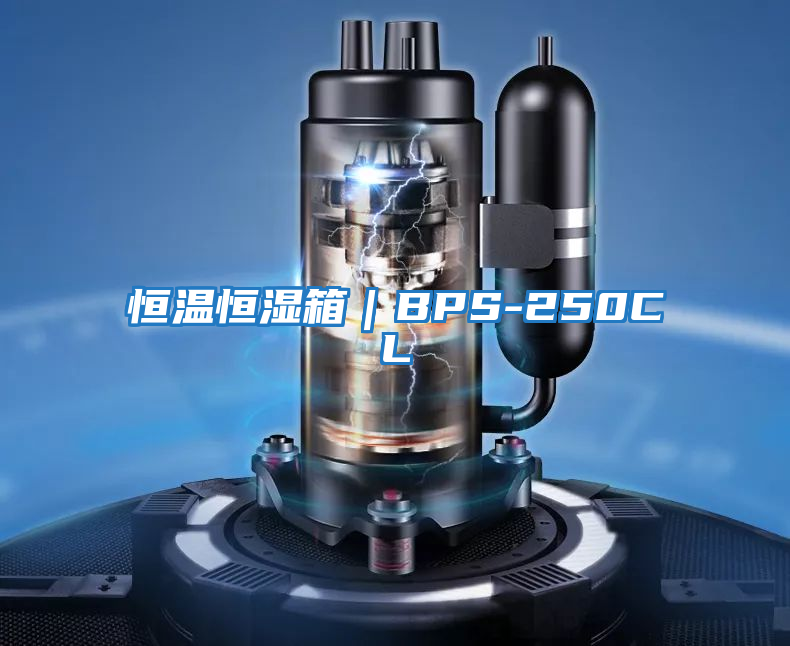 恒溫恒濕箱|BPS-250CL