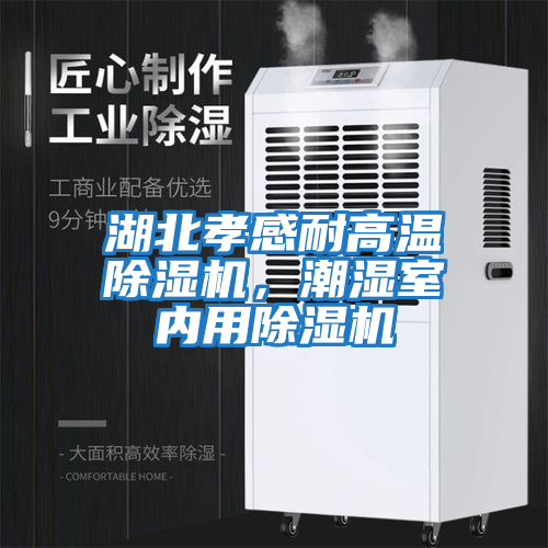 湖北孝感耐高溫除濕機，潮濕室內用除濕機