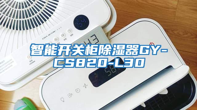 智能開(kāi)關(guān)柜除濕器GY-CS820-L30