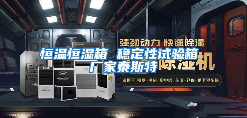 恒溫恒濕箱 穩(wěn)定性試驗(yàn)箱 廠(chǎng)家泰斯特