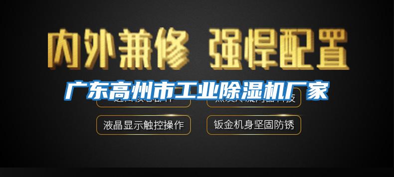 廣東高州市工業除濕機廠家