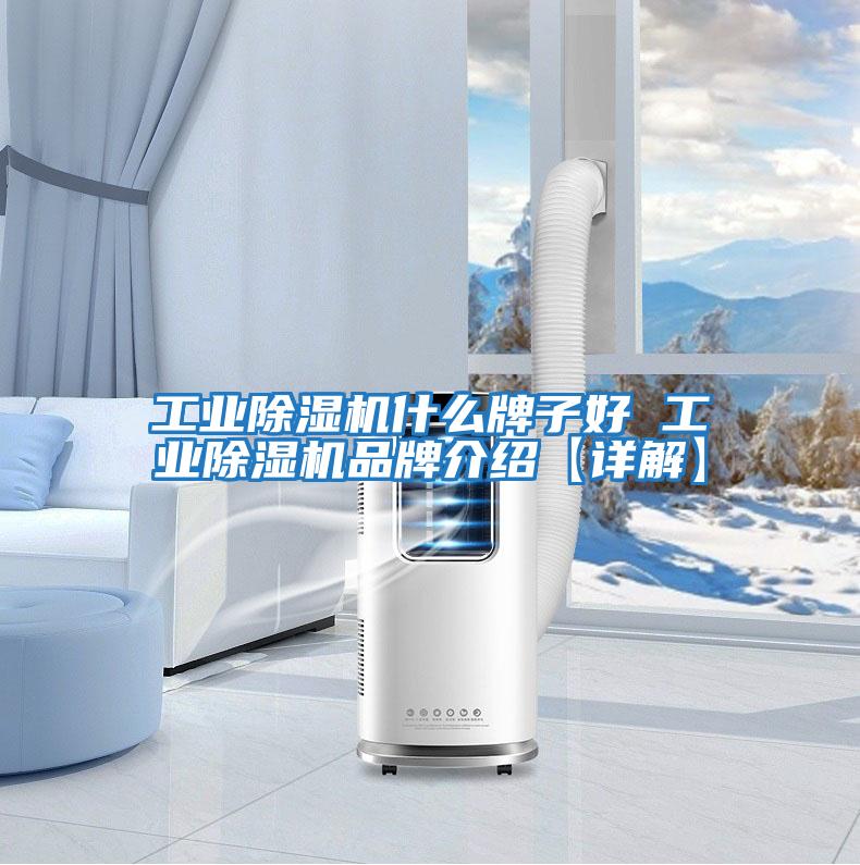 工業除濕機什么牌子好 工業除濕機品牌介紹【詳解】