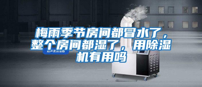 梅雨季節房間都冒水了，整個房間都濕了，用除濕機有用嗎