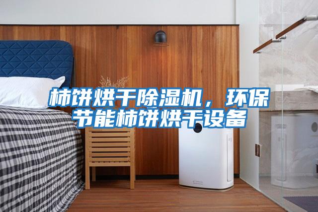 柿餅烘干除濕機(jī)，環(huán)保節(jié)能柿餅烘干設(shè)備