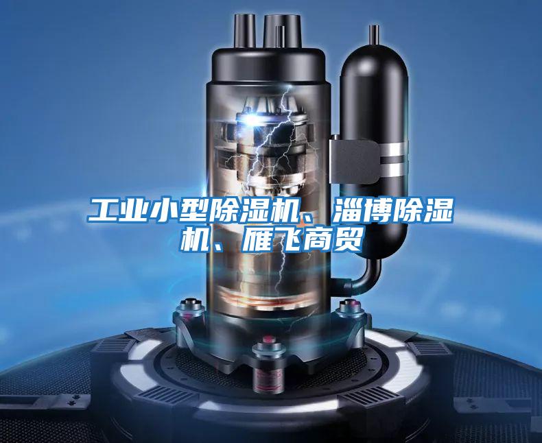 工業小型除濕機、淄博除濕機、雁飛商貿